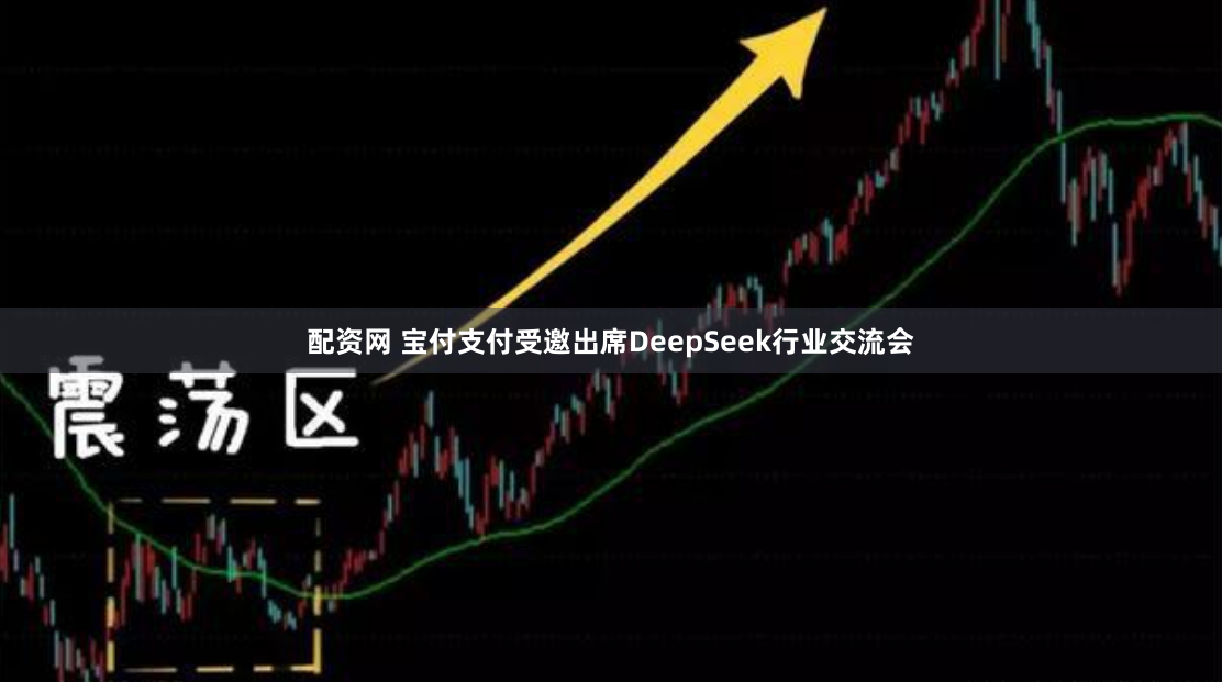 配资网 宝付支付受邀出席DeepSeek行业交流会