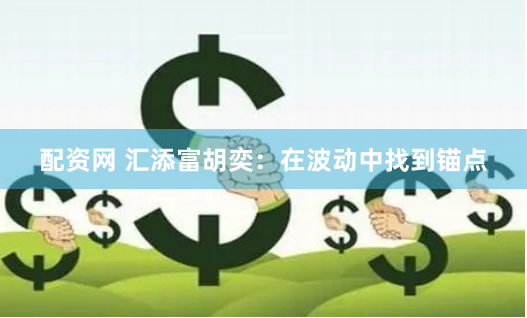 配资网 汇添富胡奕：在波动中找到锚点